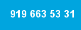 919 663 53 31